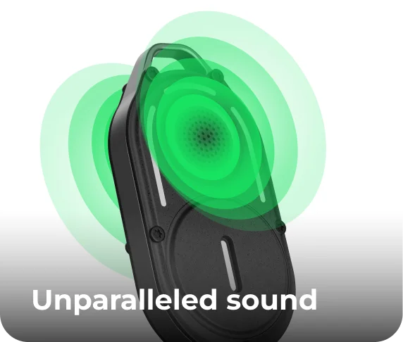 Unparalleled sound
