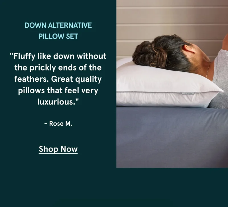 Down Alternative Pillow Set | Shop Now