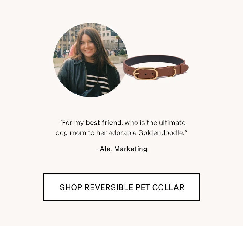 Reversible Dog Collar