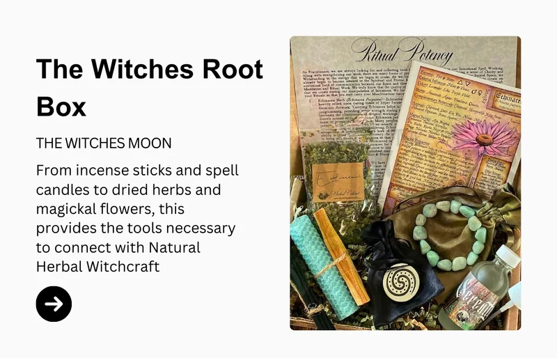 The witches root box