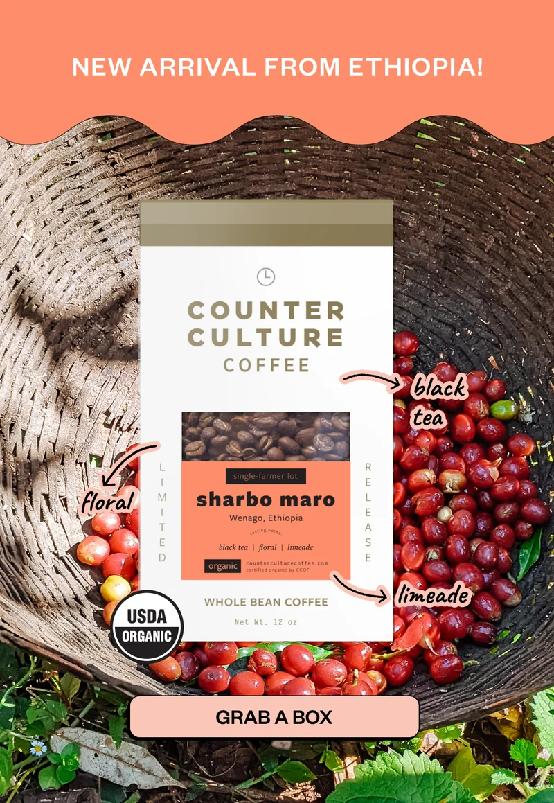 New arrival from Ethiopia! Sharbo Maro black tea floral limeade Grab a Box