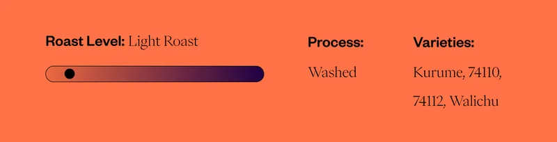 Roast Leve: Light Roast Process: Washed Varieties: Kurume, 74110, 74112, Walichu