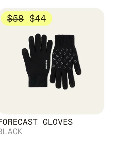 Forecast Gloves