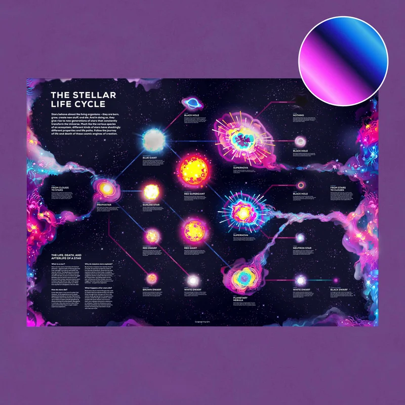 Image of Stellar Life Cycle Poster