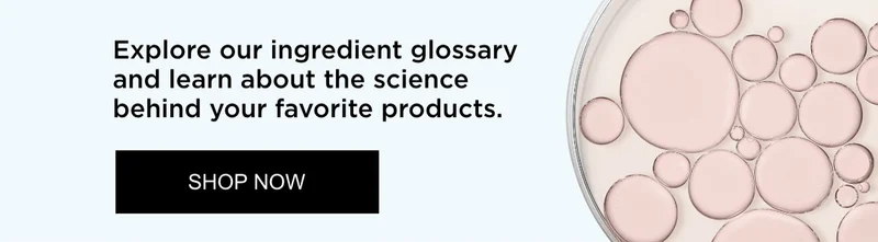 Explore Our Ingredient
