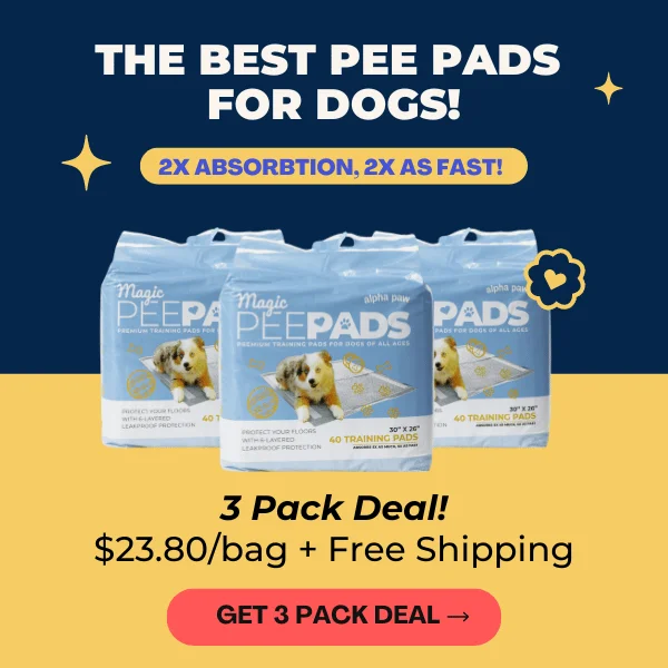 Pee Pads XL