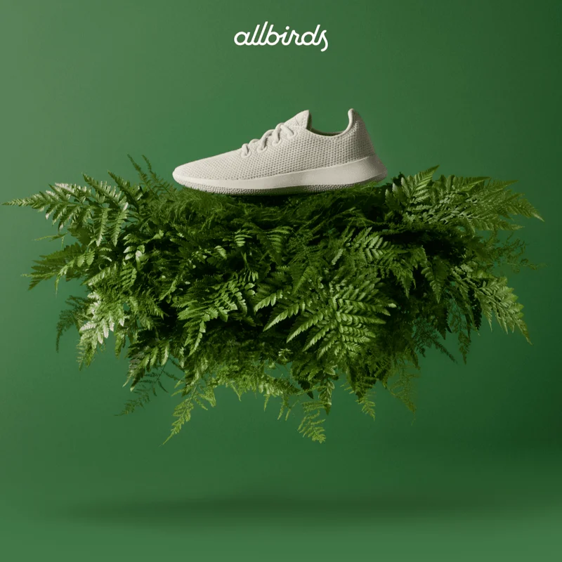 Allbirds