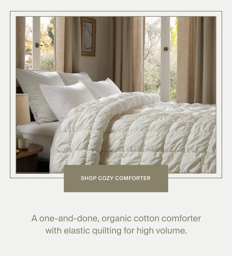 Shop Organic Cozy Cotton Comforter