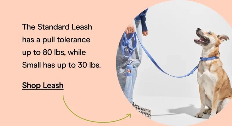 Shop Leash