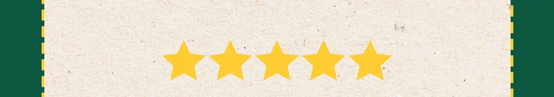 5 stars