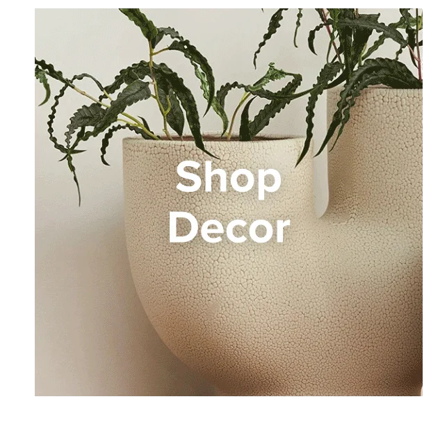 Shop Decor.