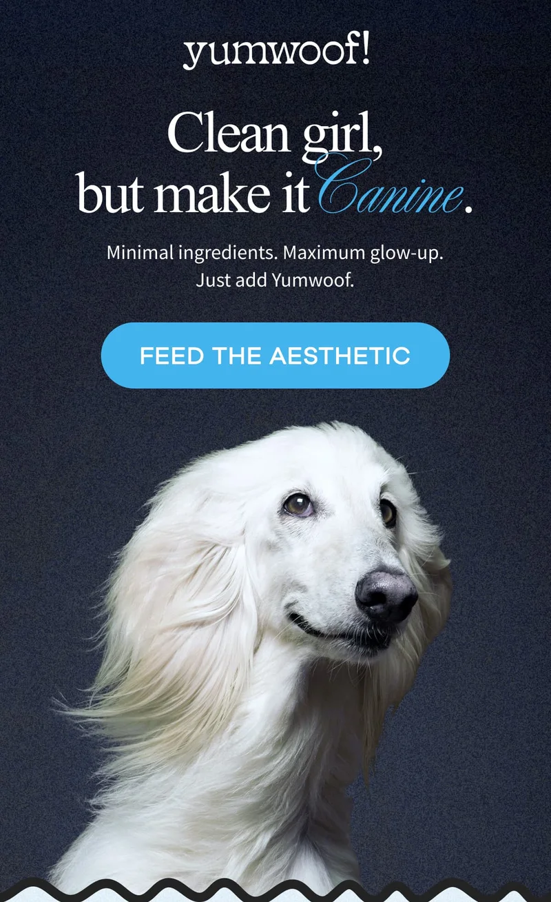 yumwoof! | Clean girl, but make it Canine. | Minimal ingredients. Maximum glow-up. Just add Yumwoof. | FEED THE AESTHETIC
