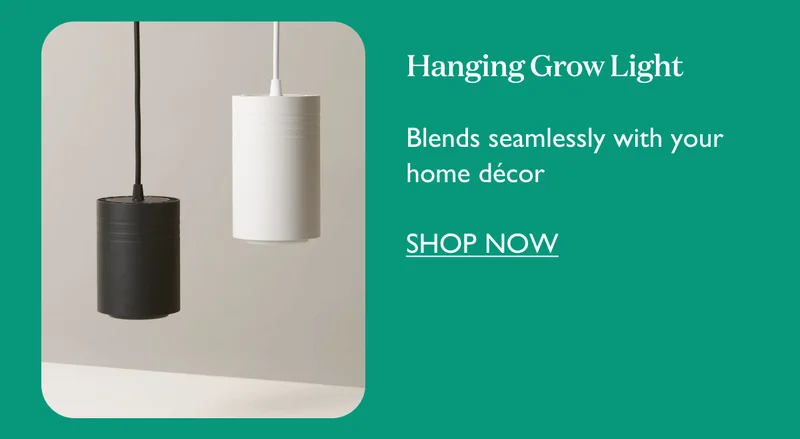 Hanging Grow Light: Blends seamlessly with your home decor