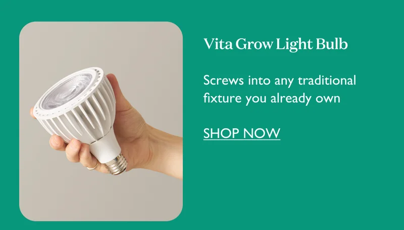 Vita Grow Light Bulb: Screws into any traditional fixture you already own