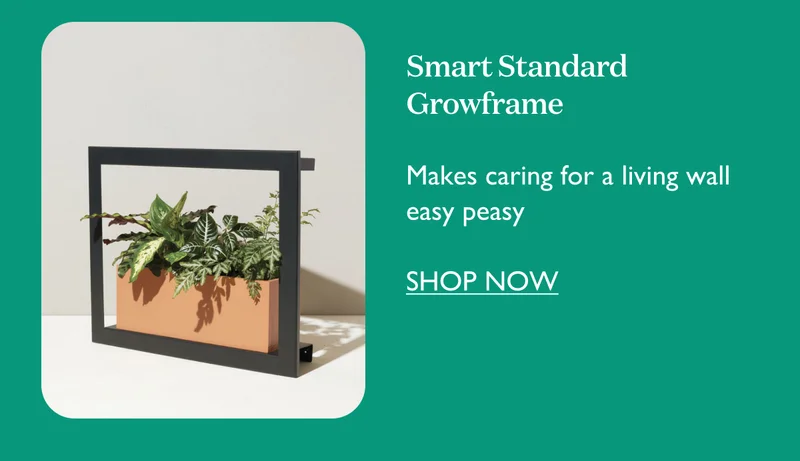 Smart Standard Growframe: Makes caring for a living wall easy peasy