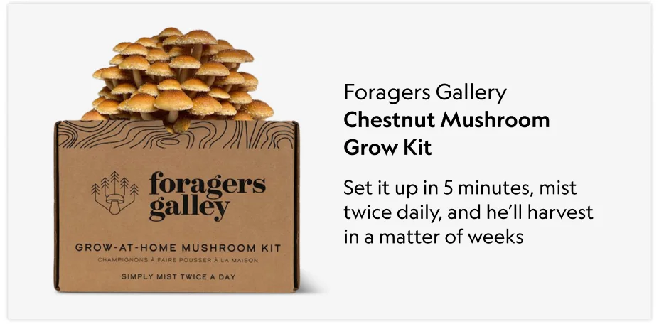 Chestnut Mushroom Grow Kit