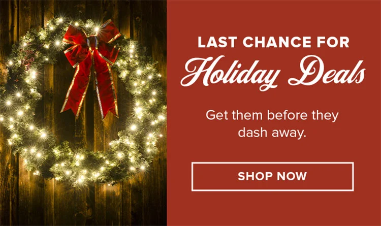 LAST CHANCE FOR HOLIDAY DEALS | SHOP NOW