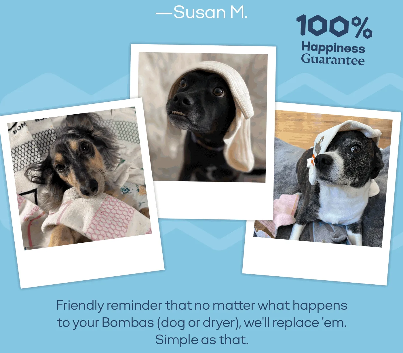 100% Happiness Guarantee | Friendly reminder that no matter what happens to your Bombas (dog or dryer), we'll replace 'em. Simple as that.