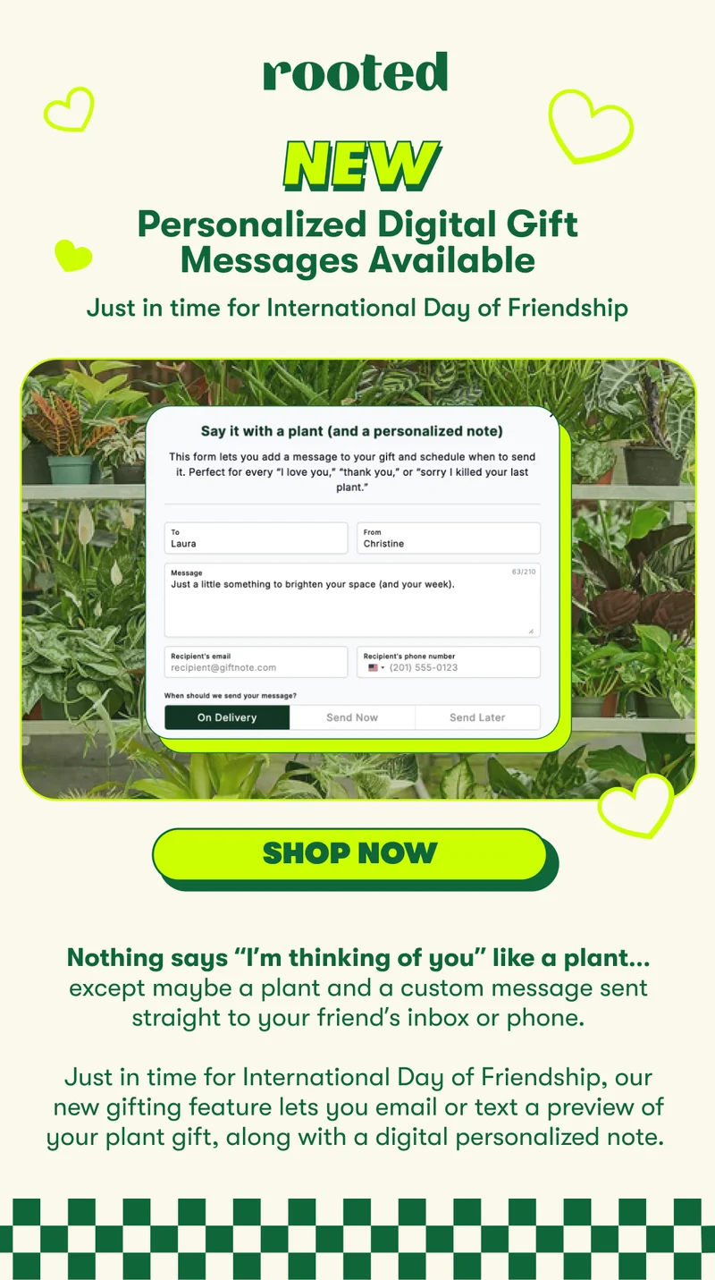 Celebrate International Friendship Day