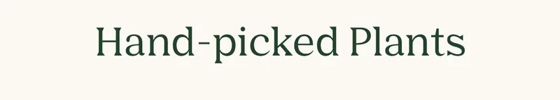 Shop hand-picked plants