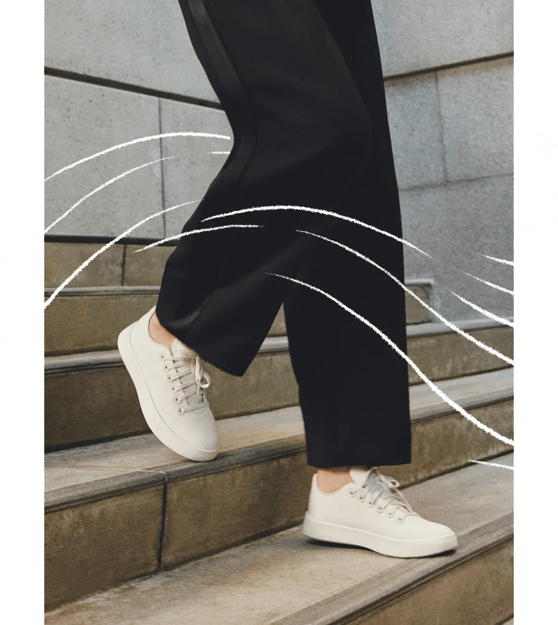 Cruiser Canvas