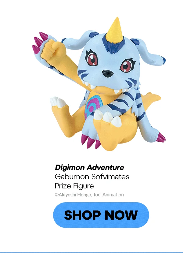 SHOP NOW SHOP NOW