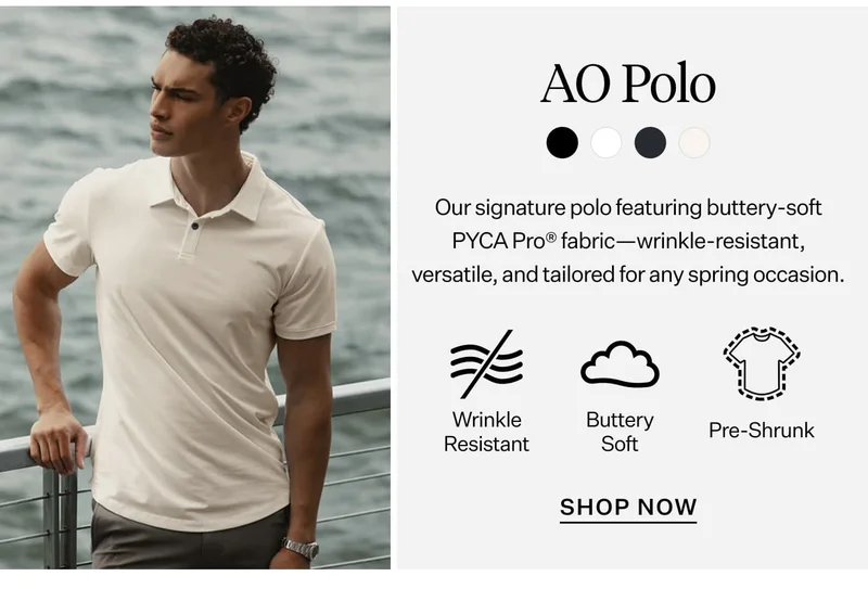 AO Polo