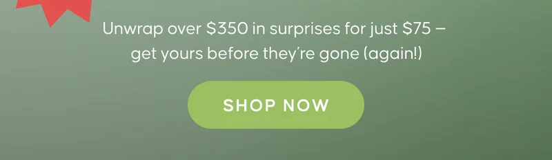 Unwrap over $350 in surprises for just $75 —  get yours before they’re gone (again!)