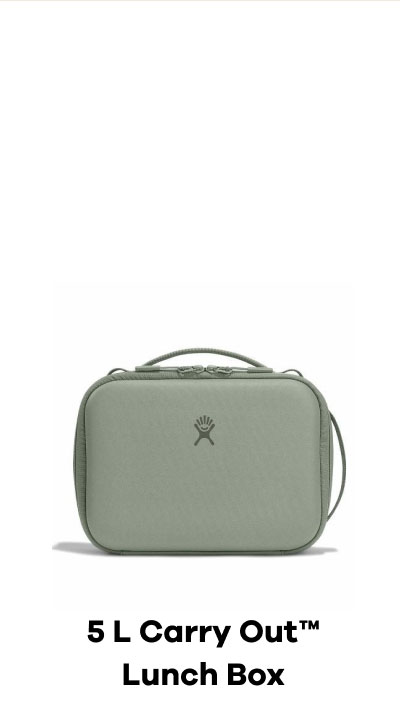 5 L Carry Out Lunch Box