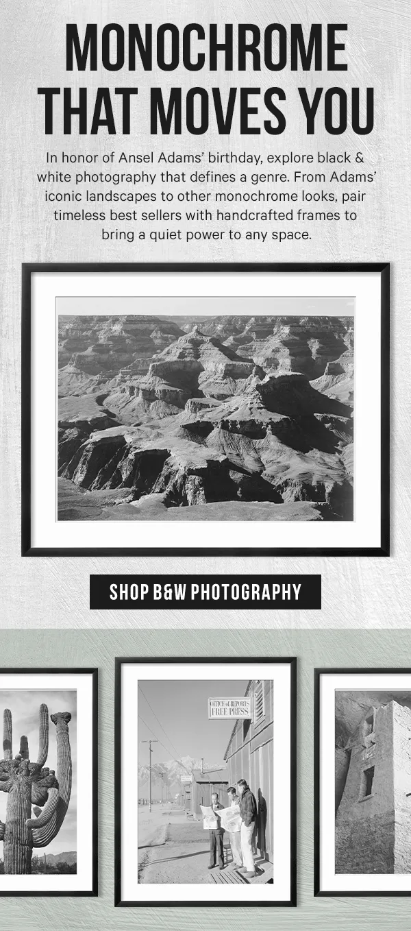 Monochrome That Moves You: In honor of Ansel Adams’ birthday, explore black & white photography that defines a genre. From Adams’ iconic landscapes to other monochrome looks, pair timeless best sellers with handcrafted frames to bring a quiet power to any space.