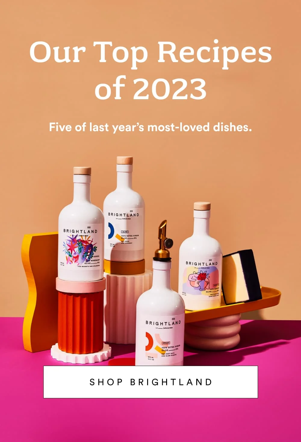 Our Top Recipes of 2023 [ Shop Brightland ]