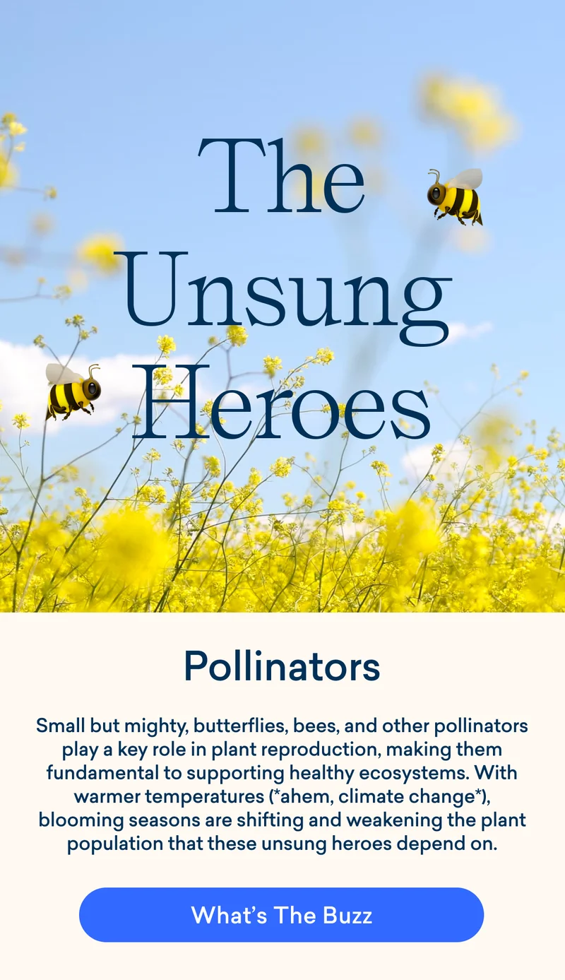 The Buzz about Pollinators