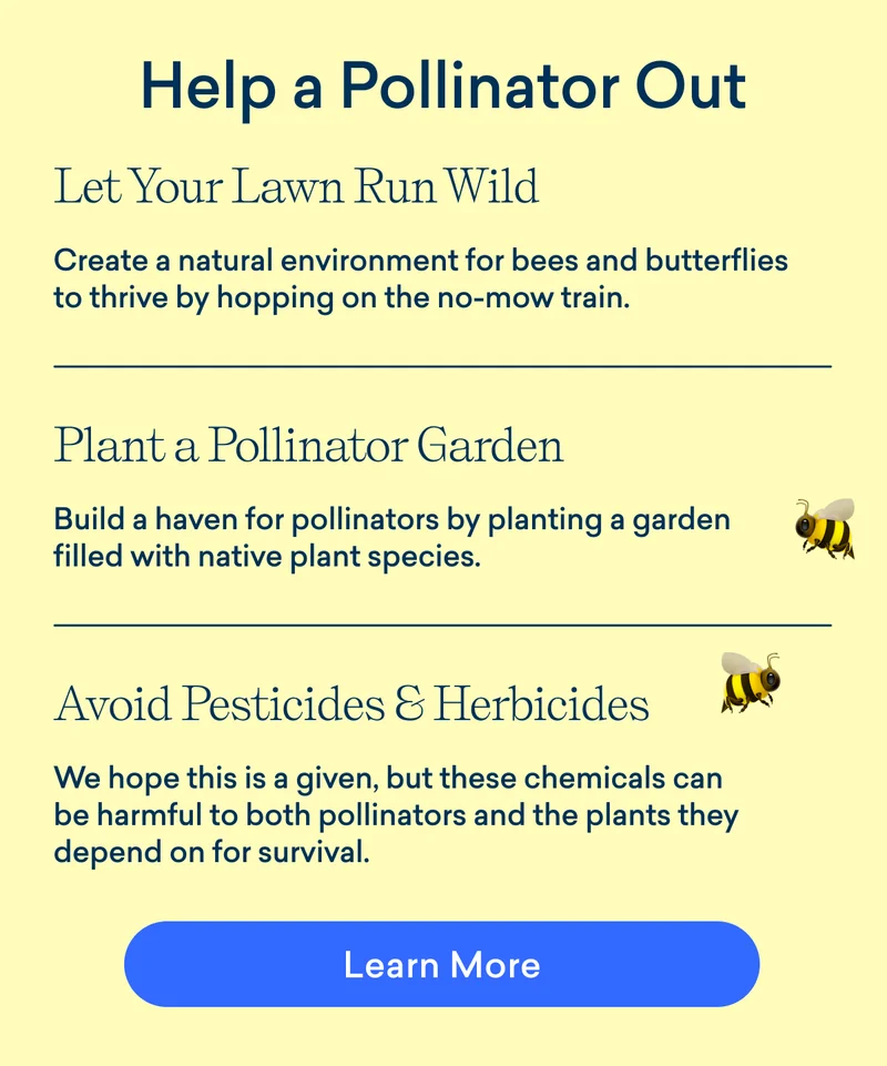 Help a Pollinator Out