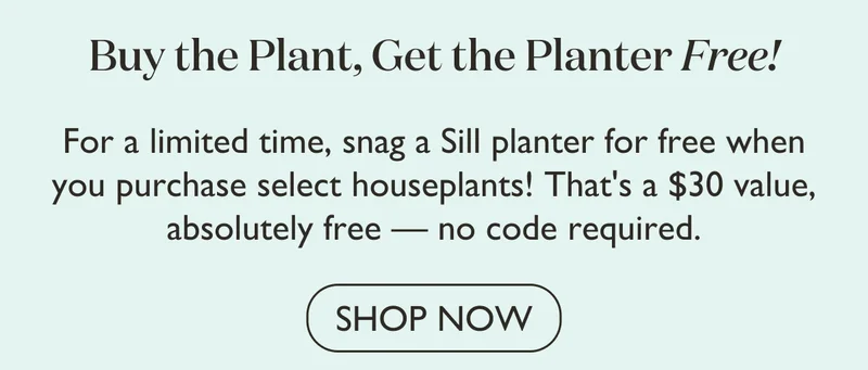 Buy the Plant, Get the Planter Free!