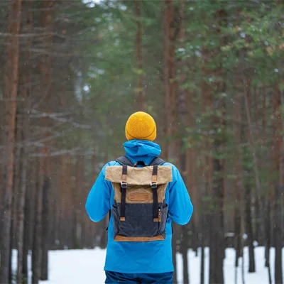 A traveler facing a forest
