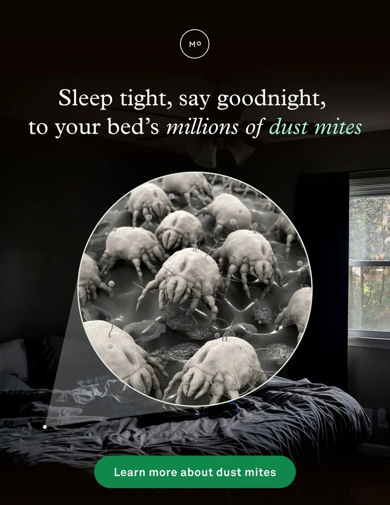 Sleep tight, say goodnight, to your bed's millions of dust mites