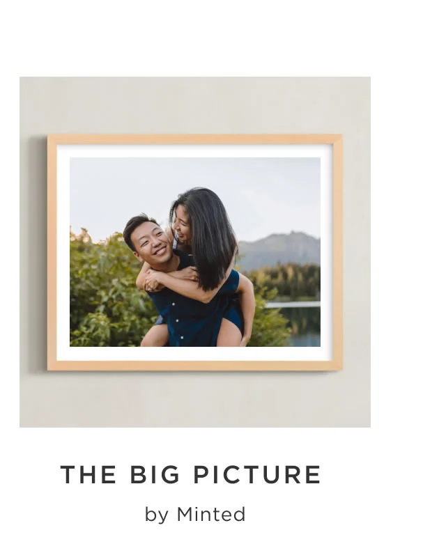 The Big Picture