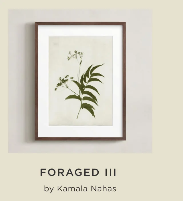 Foraged III