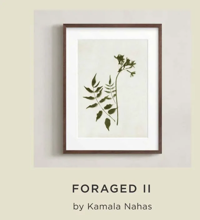 Foraged I