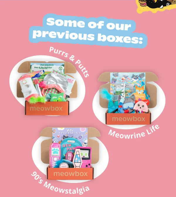 Some of our previous boxes: Purrs & Putts, Meowrine Life, '90s Meowstalgia.