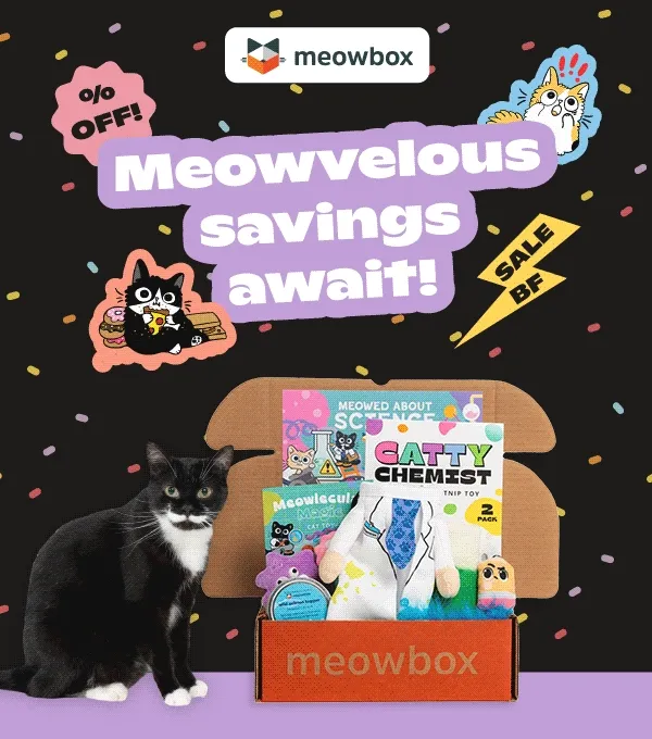 Meowvelous savings await! Black Friday sale. Image of a black and white cat in front of featured meowboxes (Meowed About Science, Tricks, Treats & Toe Beans, Purrs & Putts, '90s Meowstalgia and Meowrine Life and more).