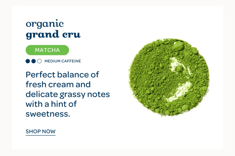 Organic Grand Cru Matcha - Perfect balance of fresh cream and delicate grassy notes with a hint of sweetness. - Shop now