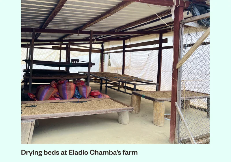 Drying beds at Eladio Chamba's Farm