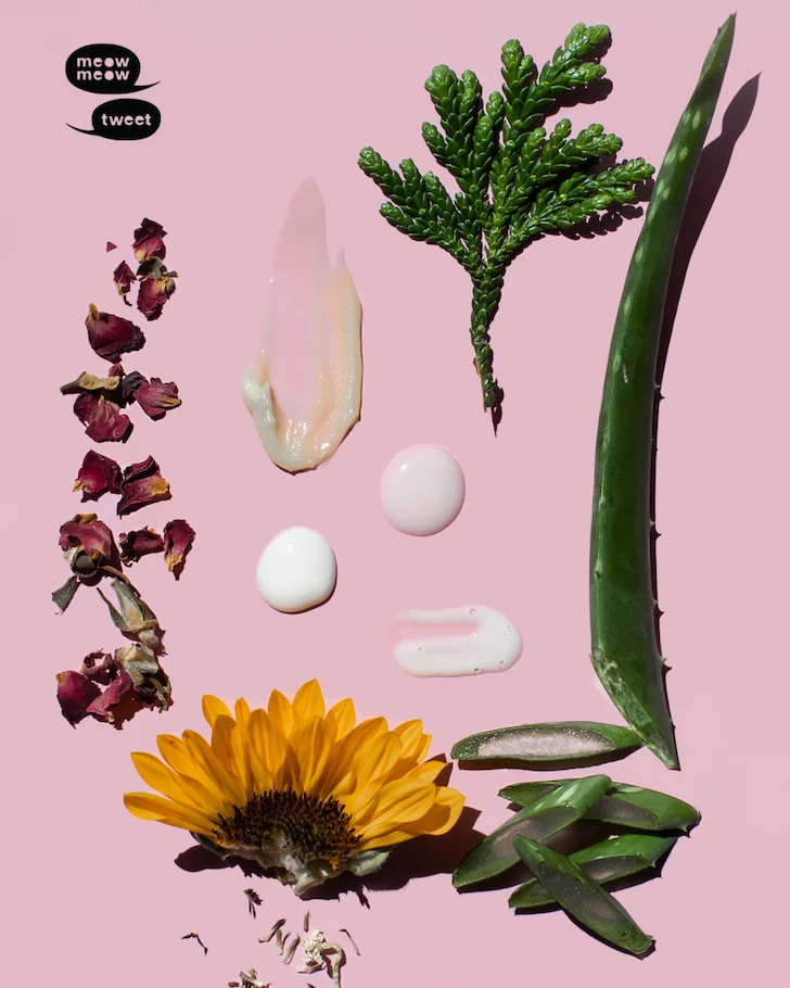 Different pieces of plants and flowers are arranged along side drops and smears of skincare products.