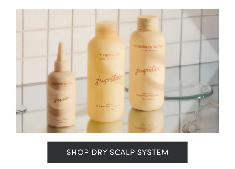 Shop Dry Scalp System