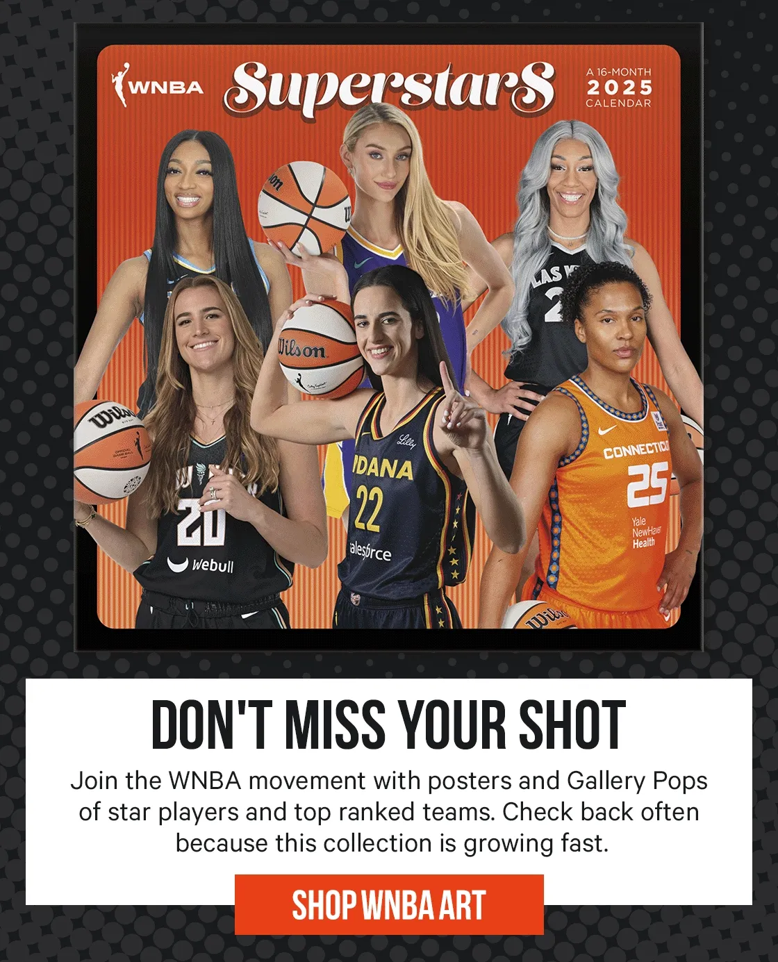 WNBA Posters and Wall Art