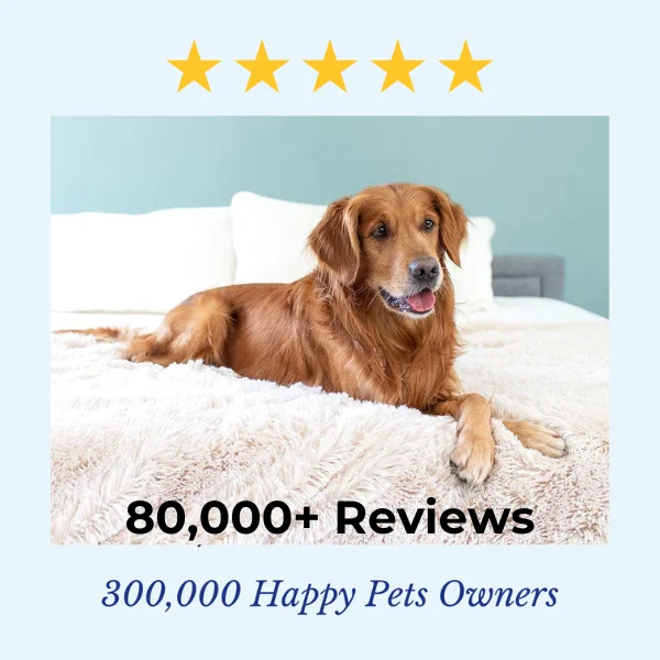 80,000 reviews