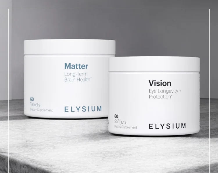 Matter | Vision | ELYSIUM