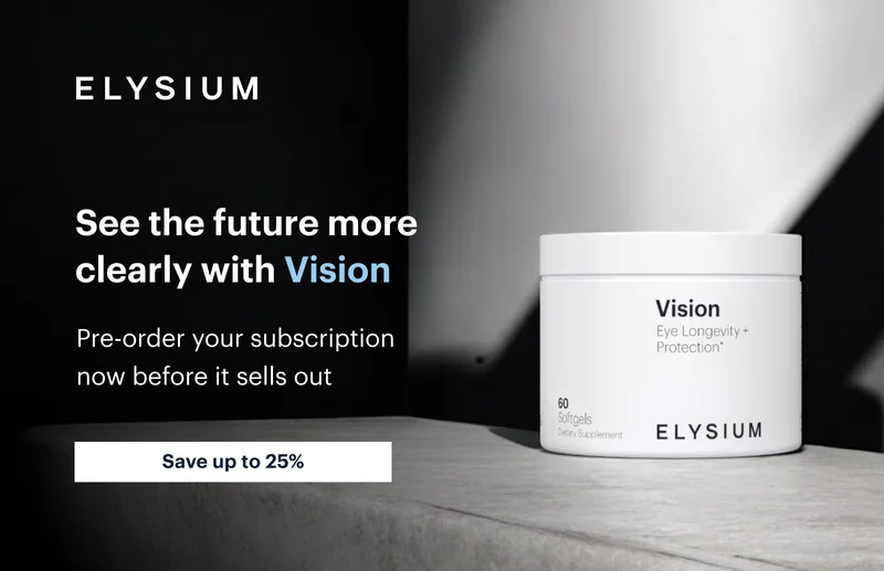 | ELYSIUM | See the future more clearly with Vision