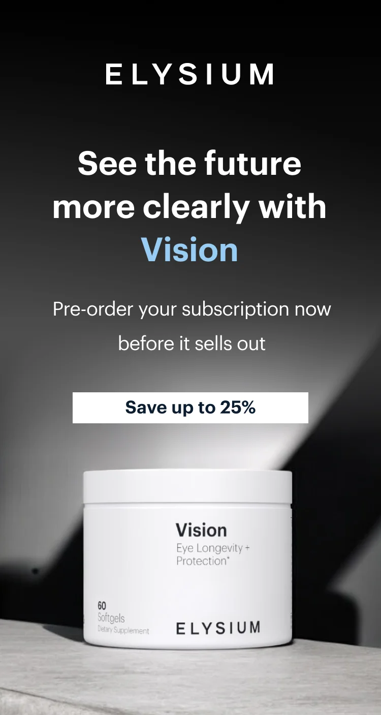 | ELYSIUM | See the future more clearly with Vision
